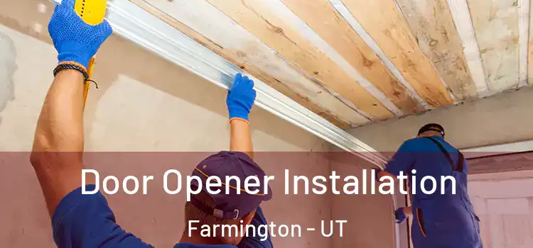  Door Opener Installation Farmington - UT