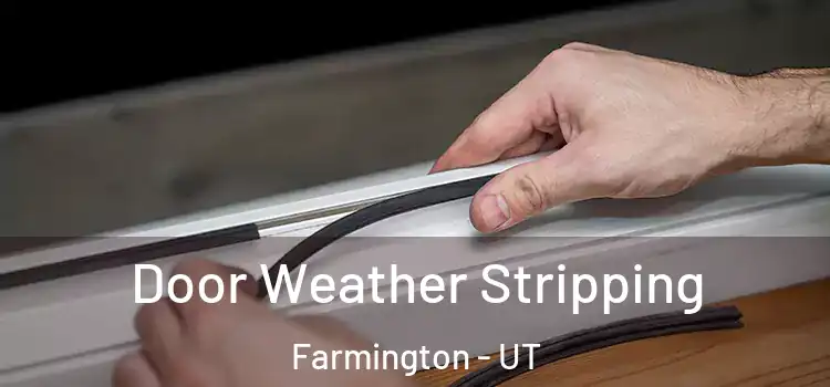  Door Weather Stripping Farmington - UT