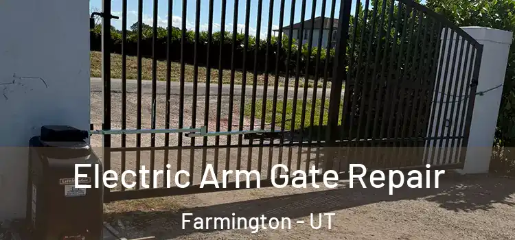  Electric Arm Gate Repair Farmington - UT