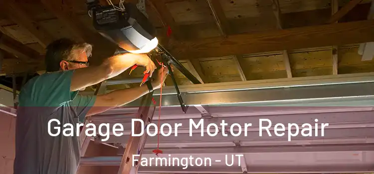  Garage Door Motor Repair Farmington - UT