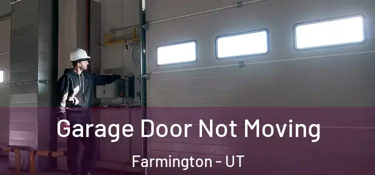  Garage Door Not Moving Farmington - UT