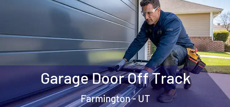  Garage Door Off Track Farmington - UT