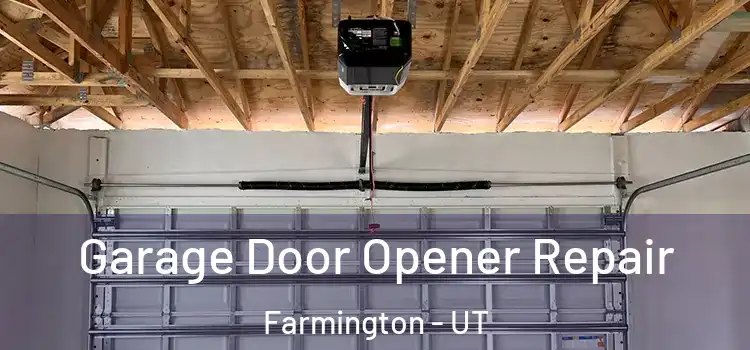  Garage Door Opener Repair Farmington - UT