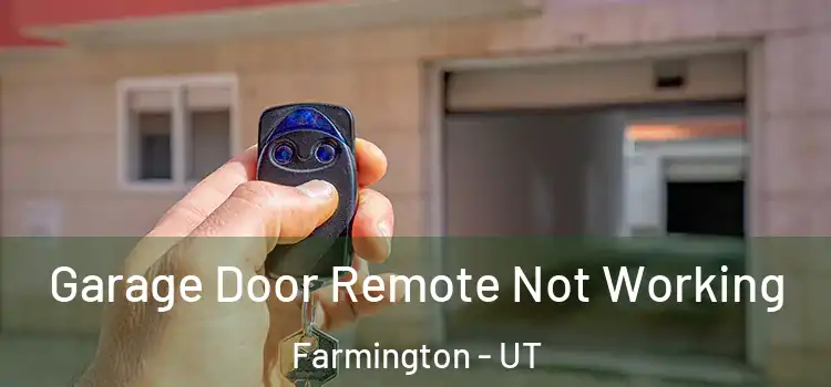  Garage Door Remote Not Working Farmington - UT