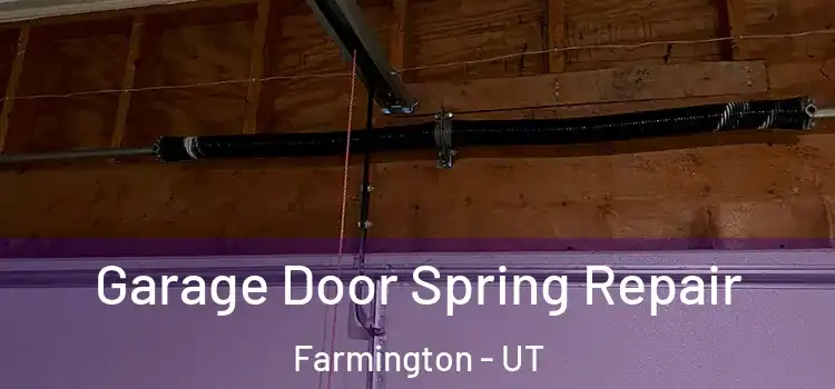  Garage Door Spring Repair Farmington - UT