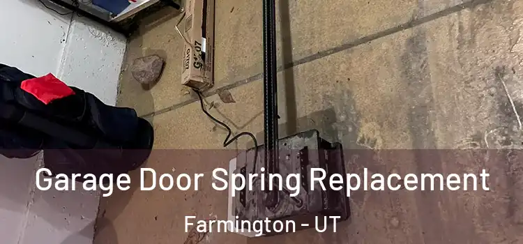  Garage Door Spring Replacement Farmington - UT