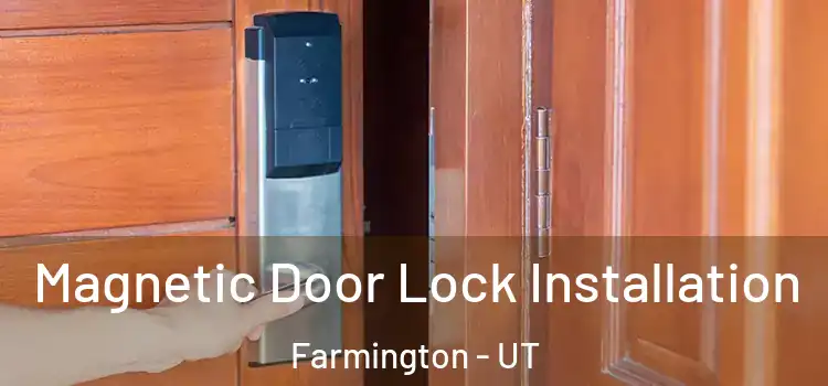 Magnetic Door Lock Installation Farmington - UT