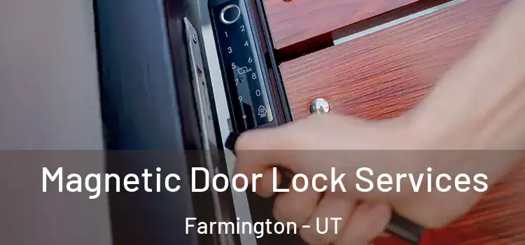  Magnetic Door Lock Services Farmington - UT