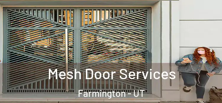  Mesh Door Services Farmington - UT