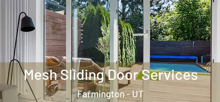 Mesh Sliding Door Services Farmington - UT