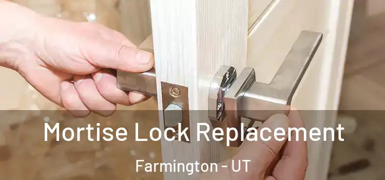 Mortise Lock Replacement Farmington - UT