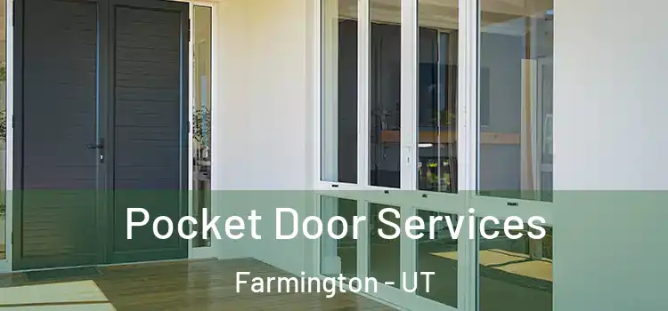  Pocket Door Services Farmington - UT