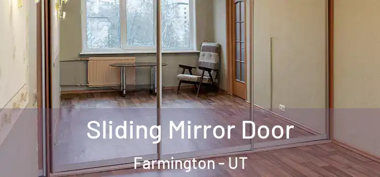  Sliding Mirror Door Farmington - UT