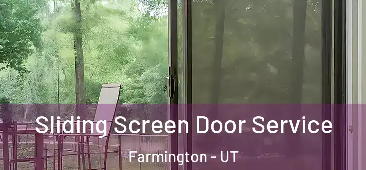 Sliding Screen Door Service Farmington - UT