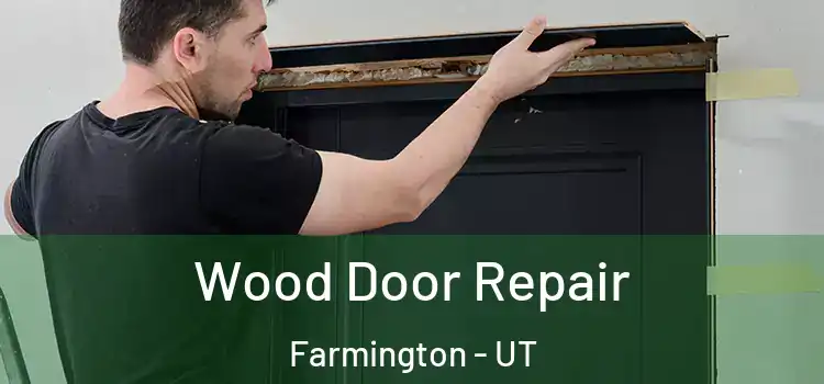  Wood Door Repair Farmington - UT